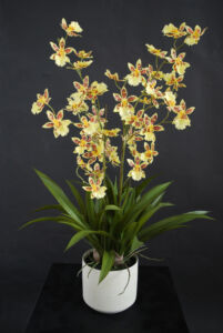 Umělá rostlina Orchidej „Dancing“ (70cm) – žlutá