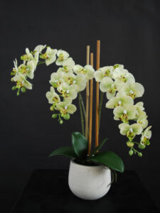 Umělá rostlina Orchidej Phalaenopsis Mini (50cm) – limetka