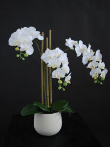 Umělá rostlina Orchidej Phalaenopsis Mini (50cm) – bílá