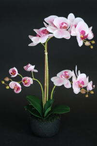 Umělá rostlina Orchidej Phalaenopsis (50cm) – růžová