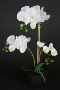 Umělá rostlina Orchidej Phalaenopsis (50cm) – bílá