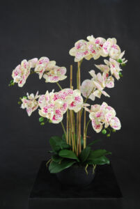 Umělá rostlina Orchidej Phalaenopsis (70cm) – žíhaná