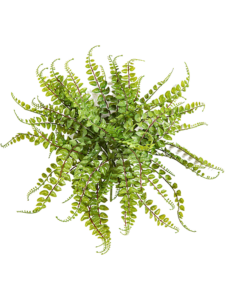 Umělá rostlina  Asplenium maidenhair Bush (40cm)