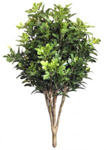 Umělá rostlina Boxwood Bush (60cm) – UV