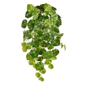 Umělá rostlina Pilea (60cm) – vario