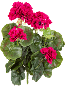 Umělá rostlina Pelargonie (30cm) – violet