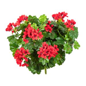 Umělá rostlina Pelargonie „kaskáda“ (35cm) – červená