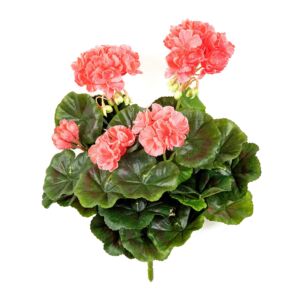 Umělá rostlina Pelargonie (30cm) -broskvová