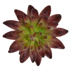 Umělá rostlina Echeveria Kaktus (15cm) – burgundy