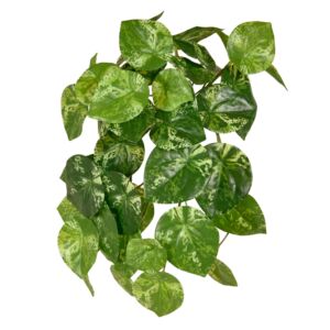 Umělá rostlina Pilea (30cm) – vario
