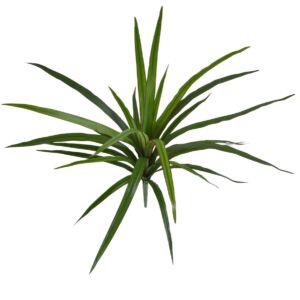 Umělá rostlina Dracena (40cm)