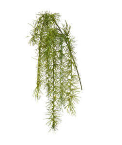 Umělá rostlina Asparagus  Hanging Bush (40cm)