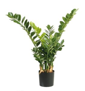 Umělá rostlina Zamioculcas (90cm)