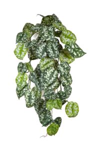 Umělá rostlina Scindapsus (70cm) – FR