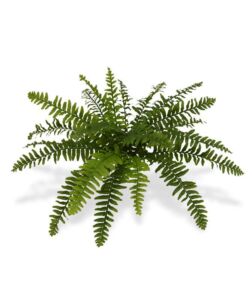 Umělá rostlina Kapradí Boston DeLuxe (50cm) – FR