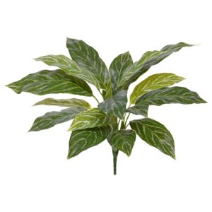 Umělá rostlina Aglaonema (40cm)