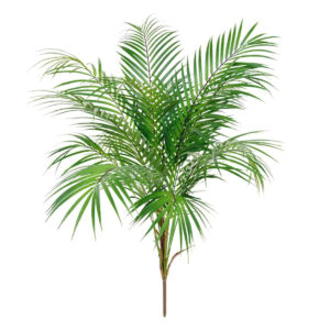 Umělá palma Areca bukett (80cm)