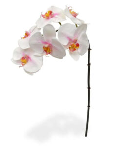 Umělá květina Orchidej větvička Phalaenopsis (55cm) – růžová