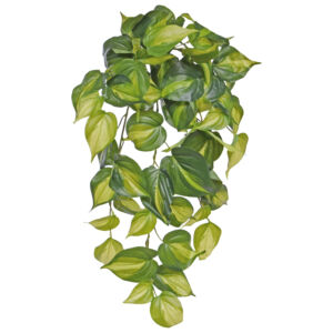Umělá rostlina Pothos Brasil (50cm)
