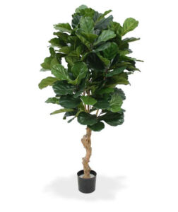 Umělý strom Fikus Lyrata DeLuxe (155cm)