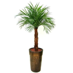 Umělá palma Areca (175cm)