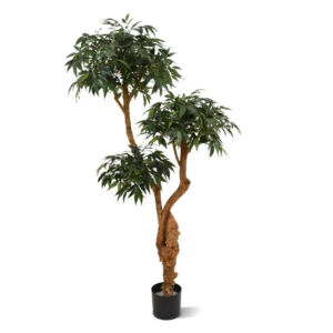 Umělá bonsai Shirakashi Deluxe (160cm)