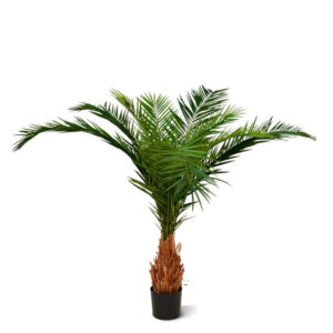 Umělá palma Phoenix Deluxe (210cm)