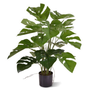 Umělá rostlina Monstera  (50cm)