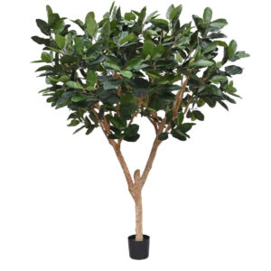 Umělý strom Ficus Elastica Robusta XL (300cm)