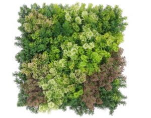 Panel umělý Boss Moss Mix Light (50x50cm)