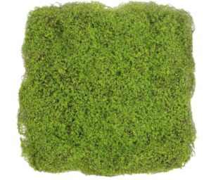 Panel umělý Moss Base I (50x50cm)