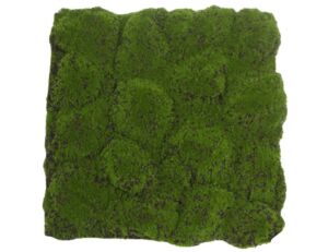 Panel umělý Moss Base IV (50x50cm)