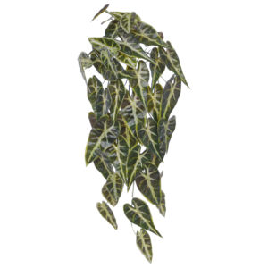 Umělá rostlina Alocasia Frydek (60cm)