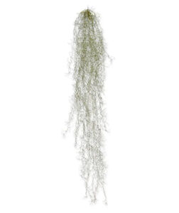 Umělá rostlina Tillandsia (120cm)