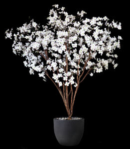 Umělý strom Cornus Magnifica (240cm) – WHITE