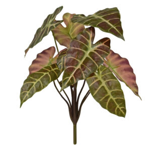 Umělá rostlina  Alocasia burgundy  (40cm)