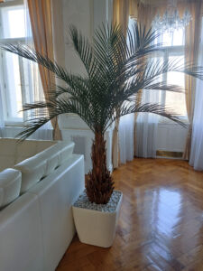 Umělá palma Phoenix Deluxe (170cm) s květináčem Lechuza