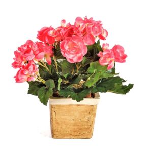 Umělá rostlina Begonie (20cm)