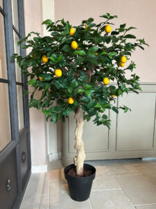 Umělý strom Lemon Crown (150cm) – Citrusovník