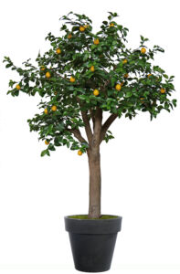 Umělý strom Lemon Florence (220cm) – Citrusovník
