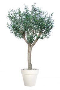 Umělý strom Olive Florence (200cm)