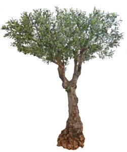 Umělý strom Olive Turtle Tree (220cm)