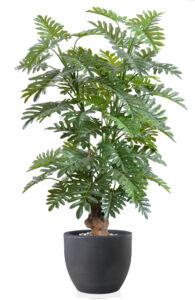 Umělý strom Philodendron Sellonum (170cm)