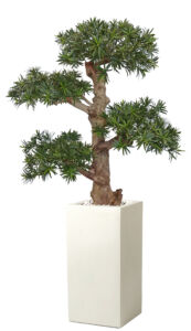 Umělý strom Podocarpus Pom Pom (150cm)