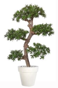 Umělý strom Podocarpus Pom Pom (190cm)