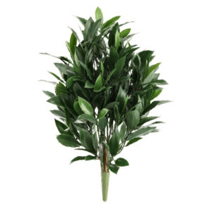 Umělá rostlina Vavřín bukett- UV (50cm)
