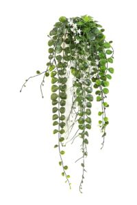Umělá rostlina Dichondra bush hanging (58cm) – UV