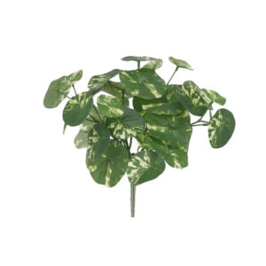 Umělá rostlina Stephania erecta (23cm)