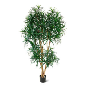 Umělá rostlina Dracaena Reflexa XL (190cm)
