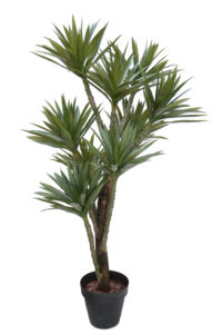 Umělý strom Yucca Gloriosa (170cm)